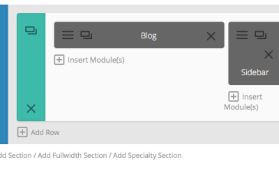 Elegant Themes: use Page Builder in the posts too